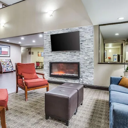 Comfort Inn & Suites Love Field-Dallas Market Center-3
