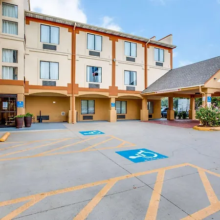 Comfort Inn & Suites Love Field-Dallas Market Center-2